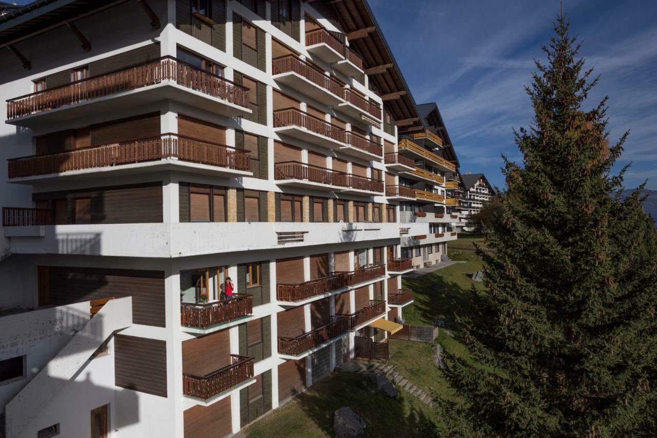 Appartement Immeuble Horizon *